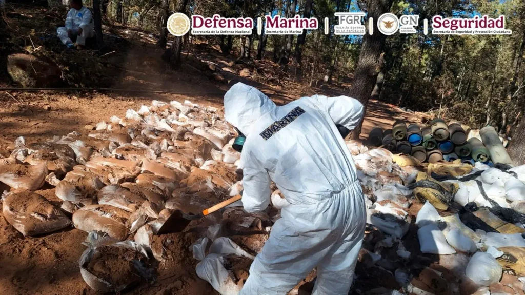 In this complex, located in the mountains of Zacatecas, with a surface area of 395,000 square meters, 36 reactors, 56 drums, 65 vats, nine mixers, 77 gas tanks, 209 barrels, four power generators, 62 lab condensers, 94 burners, and diverse material were seized in the areas allocated for the storage of pre-precursors, synthesis of chemical pre-precursors, as well as crystallization and drying.