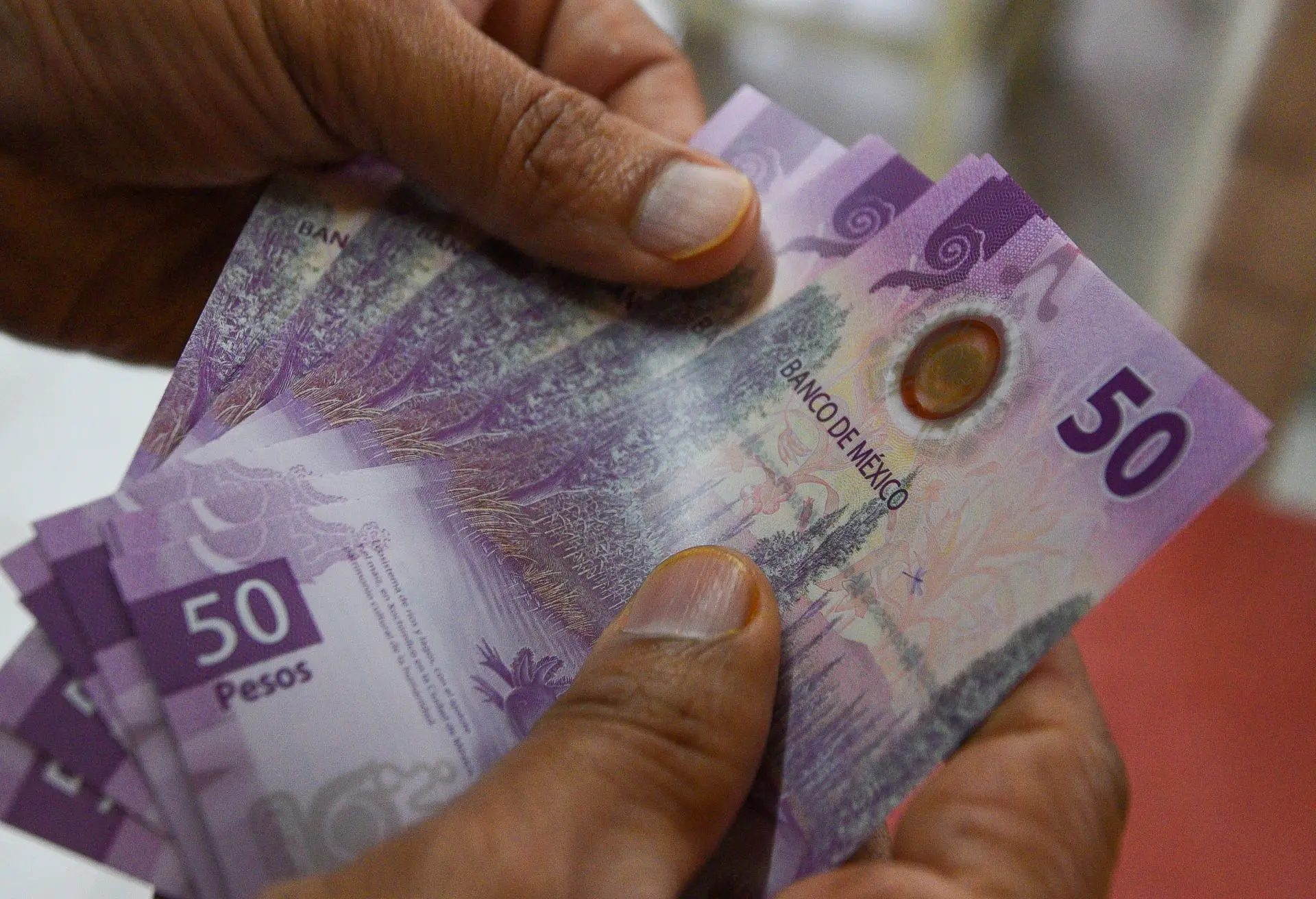 The Ministry of Finance and Public Credit (SHCP) said that despite the projections from the International Monetary Fund, Mexico will have economic growth between 1.5% and 2.3% in 2025. Photo: Crisanta Espinosa Aguilar / Cuartoscuro / MxPA