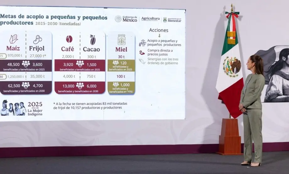 'Cosechando Soberanía' seeks to increase national corn production to 25 million tons per year and bean production to 1,200 tons. Photo: Goverment of Mexico